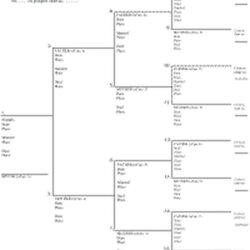 Very Good Free Interactive Family Tree Chart Template