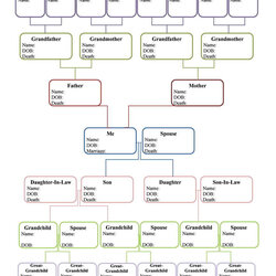 Family Tree Templates Free Download Chart Template Printable Genealogy Forms Three Descendants Reunion Form
