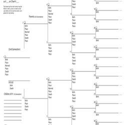 Sublime Free Interactive Family Tree Chart Template Orig