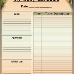 Sublime Daily Schedule Template Free Word Templates Printable Format Button Sample Agenda Forms Link