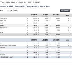 Magnificent Pro Financial Statements Template Balance Company Public Sheet Sheets