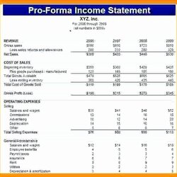Peerless Pro Financial Statement Template Unique Projection Profit