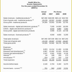Excellent Financial Statement Excel Template Free Download Of Pro Statements Example