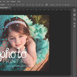 Swell Templates For Photographers Template Source Photo Release