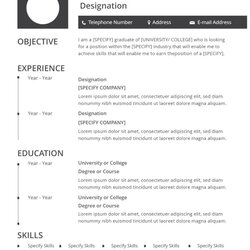 Perfect Best Resume Formats Doc Width