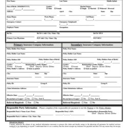 Eminent Patient Information Sheet Fill Out Sign Online Large