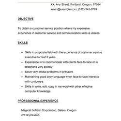Superior Customer Service Resume Examples Template