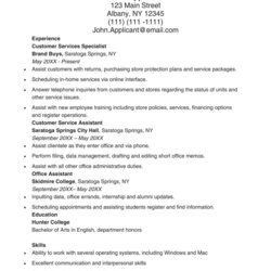 Magnificent Customer Service Resume Examples Template