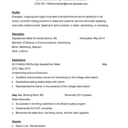 Peerless Customer Service Resume Examples Template Lab