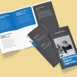 Excellent Fold Brochure Adobe Free Download Template Agency