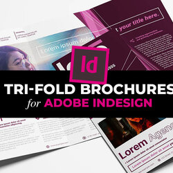 Top Fold Brochure Templates For