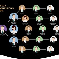 Sublime Organizational Chart Templates Word Excel Organization Template