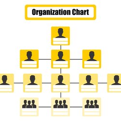 Out Of This World Best Free Printable Organizational Chart Template Porn Sex Picture Table Organization