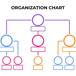 Superb Organizational Structure Chart Template Free Printable
