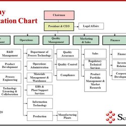 Free Organization Chart Templates Word Excel Formats Sample Organizational Template Company Examples
