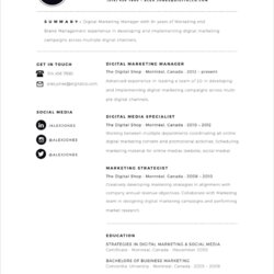 Excellent Free Ms Word Resume Templates To Download In New