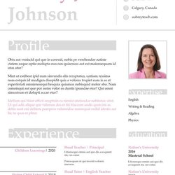 Wonderful Teacher Resume Free Sample Example Format