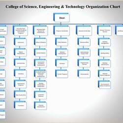 Worthy How To Make Organizational Chart In Microsoft Word Template Free Of Excel