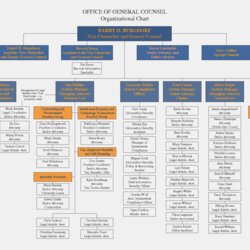 Unique Microsoft Organization Chart Templates Organizational Within