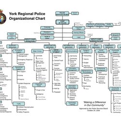 Super The York Regional Police Organizational Chart Structure Template Organization