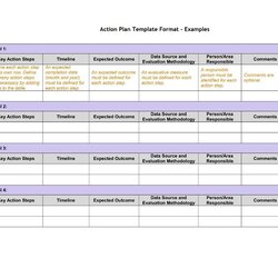 Fine Action Plan Template Format Examples