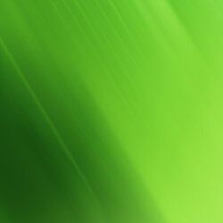 Worthy Animated Templates Free Backgrounds Green Desktop Wallpaper Background Abstract Lime Solid Wallpapers
