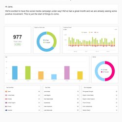 Fantastic Social Media Weekly Report Template Medical Resume Building Use Our Section