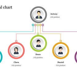 Spiffing Concise Organization Chart Template Google Slides Organizational