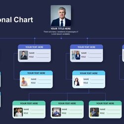 Simple Organizational Chart Template For Presentation