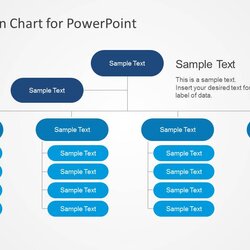 Simple Organizational Chart Template For Templates Structure Business Organization Corporate Presentation