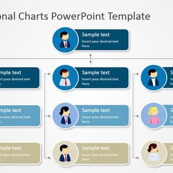 Worthy Four Levels Tree Organizational Chart For Template Templates Charts Organization Structure Slide