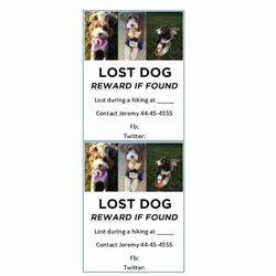 Super Lost Dog Flyers Template Elegant Pet Missing Cat Flyer