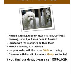 Lost Dog Flyer