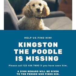 Superb Free Printable Lost Dog Flyer Templates Flyers Blue Photo