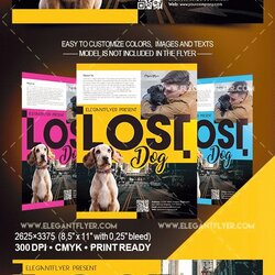 Tremendous Lost Dog Flyers Template Letter Example Flyer Free By
