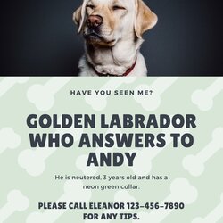 The Highest Quality Free Printable Lost Dog Flyer Templates Pale Green Polaroid Frame