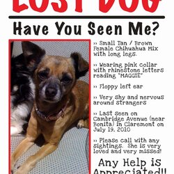 Admirable Lost Dog Flyers Template Fresh For Missing Pets In Texas Flyer