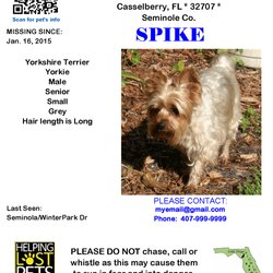 Spiffing Lost Dogs Make Poster Free Flyer Templates Business Card Dog Flyers Found Losing Missing