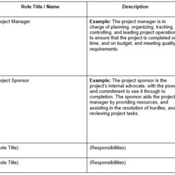 Supreme Using Roles And Responsibilities Template In Project Management Example