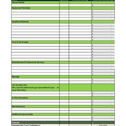 Outstanding Useful Event Budget Templates Party Planners Template