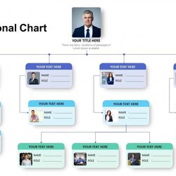 Matchless Microsoft Organizational Chart Templates Formidable High