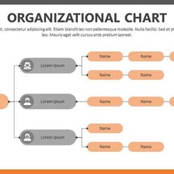 Capital Microsoft Office Free Organizational Chart Templates Unbelievable Slide Imposing Responsibilities