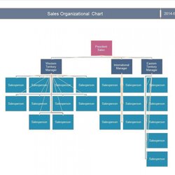 Excellent Microsoft Organization Chart Templates Ideas