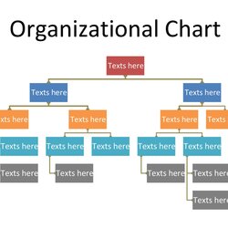 Microsoft Word Organizational Chart Template Download Example