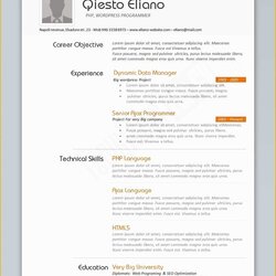 Matchless Resume Template Word Free Download Of Examples Great Ms Templates Programmer Creative Curriculum