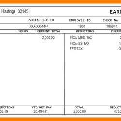 Sterling Printable Pay Stub Templates In Word Format Template Stubs Check Employee Excel Make Example Sample