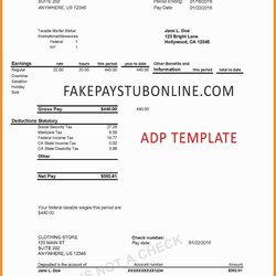 Free Payroll Pay Stub Template Of Check Creator Form Deposit Direct Printable Fake Checks Play Blank Generic