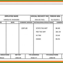 Worthy Payroll Stub Template Canada Resume Examples