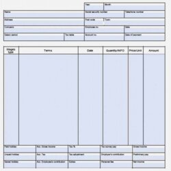 Brilliant Blank Pay Stubs Template New Payroll Check Stub