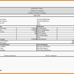 Printable Check Stubs Online Free Blank Pay Stub Template Downloads Payroll Download